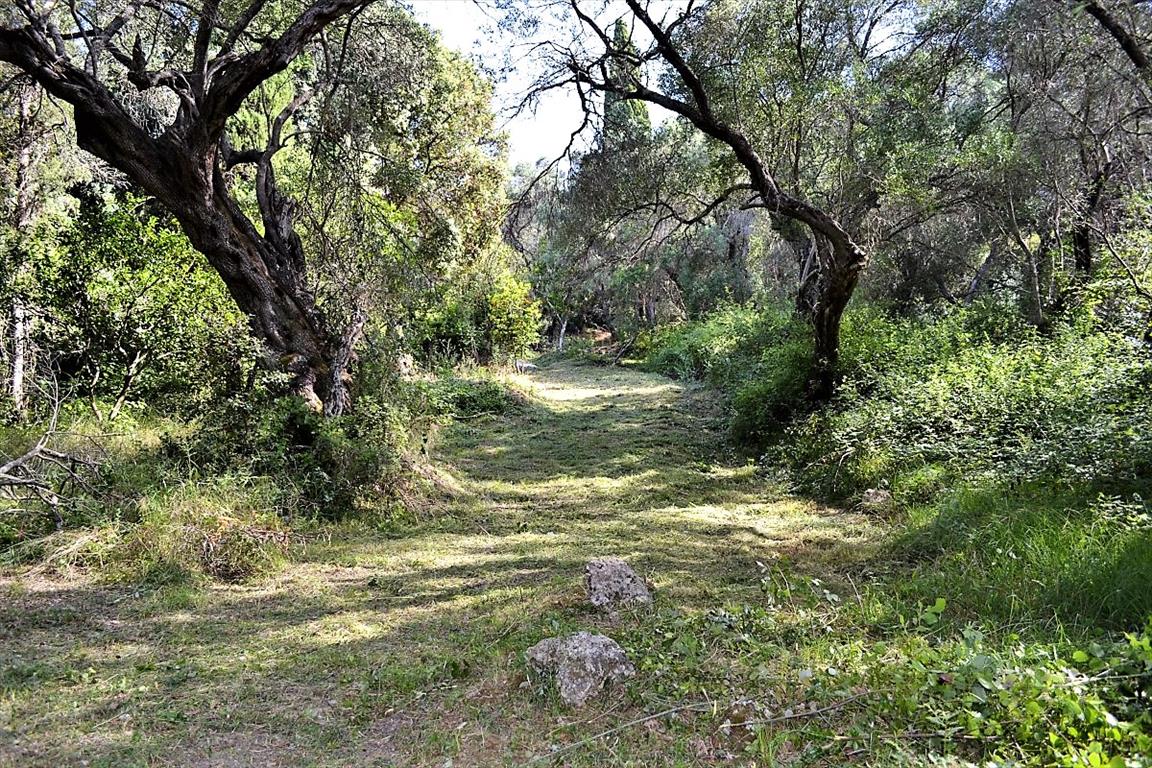 Land Of 33000 M² In Corfu