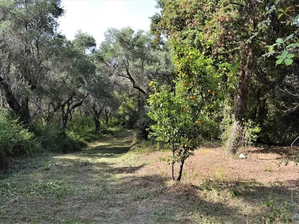 Land In Corfu, Greece
