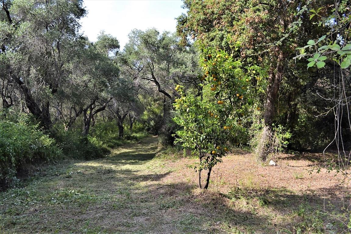 Land Of 33000 M² In Corfu