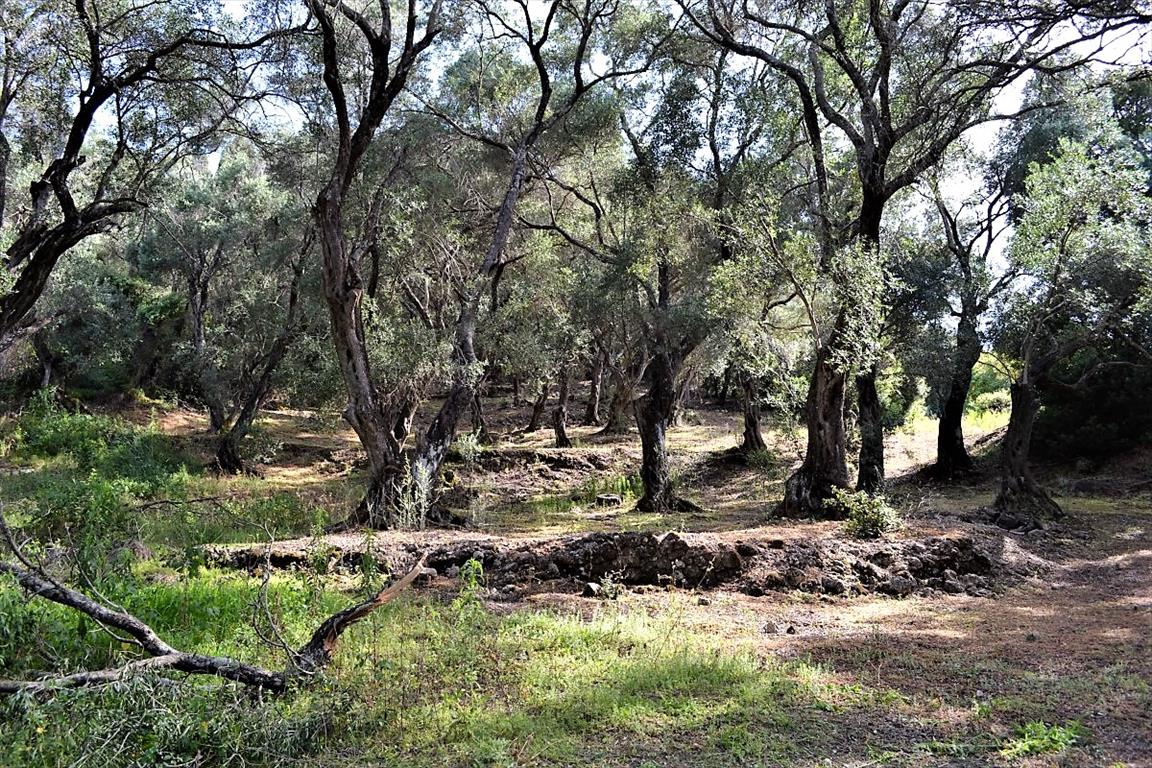 Land Of 33000 M² In Corfu