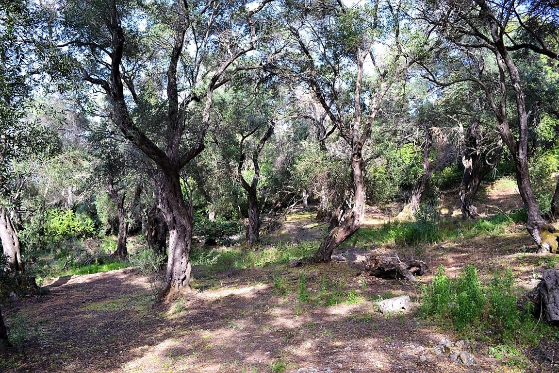 Land Of 33000 M² In Corfu
