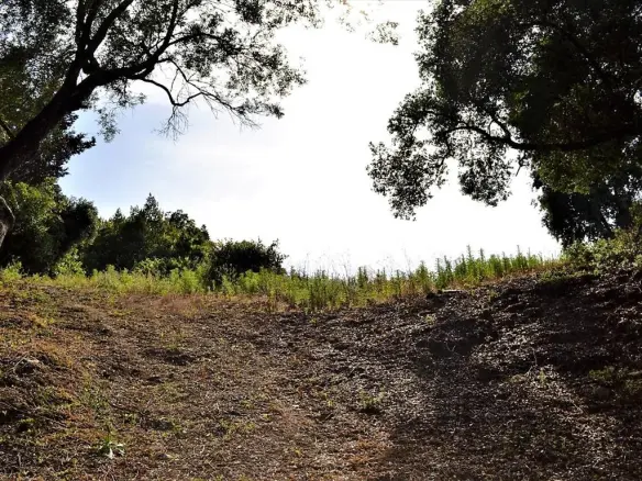 Land In Corfu, Greece