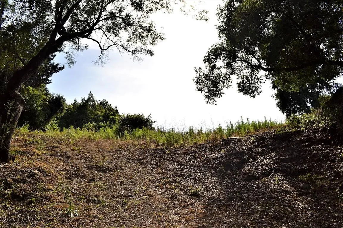 Land Of 33000 M² In Corfu
