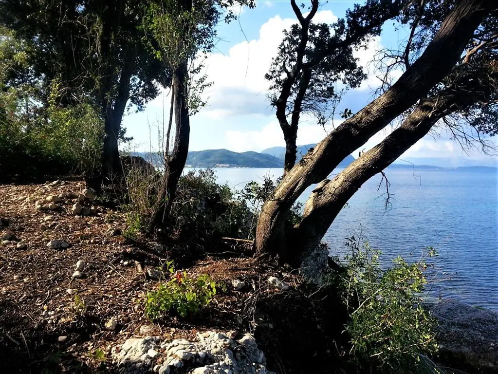 Land Of 33000 M² In Corfu