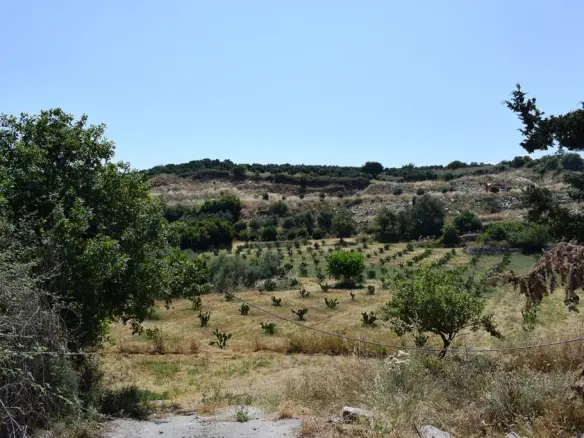 Land Of 8500 M² In Crete