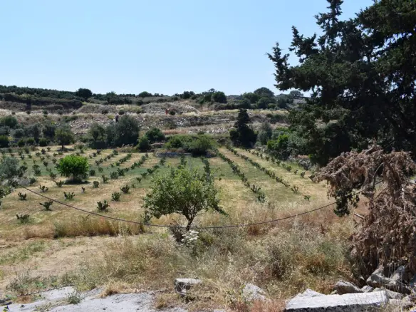 Land In Lappa, Greece