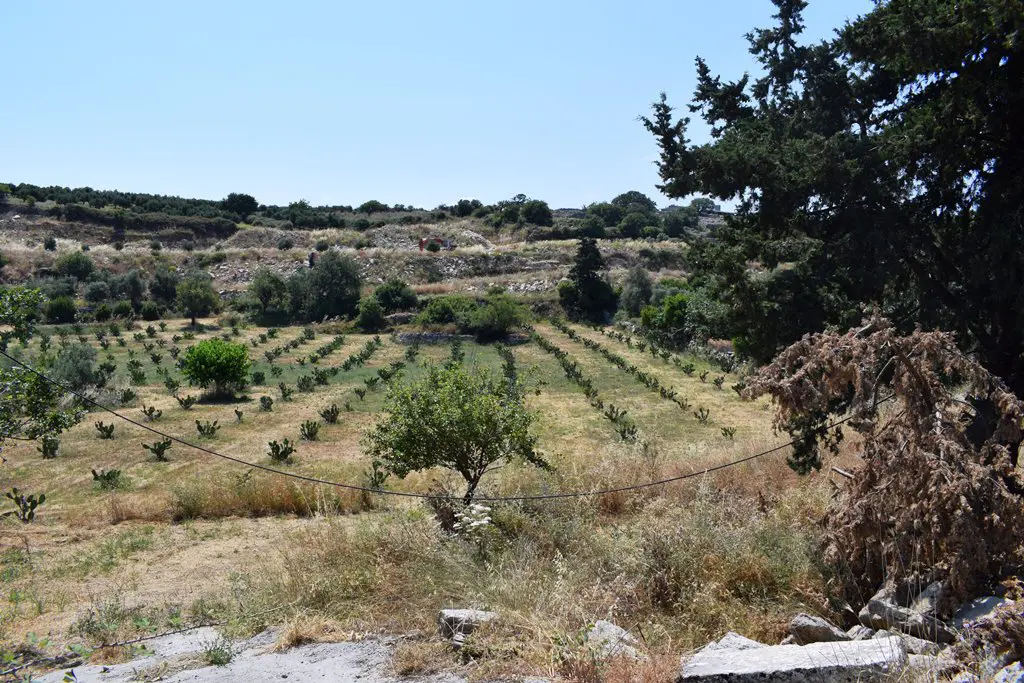 Land In Lappa, Greece