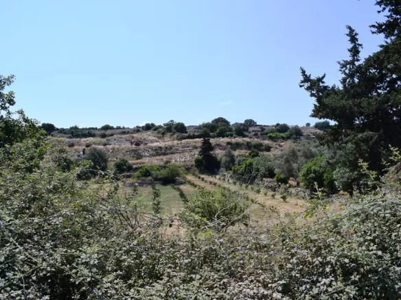 Land In Lappa, Greece