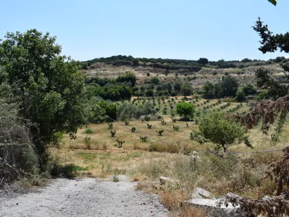 Land In Lappa, Greece