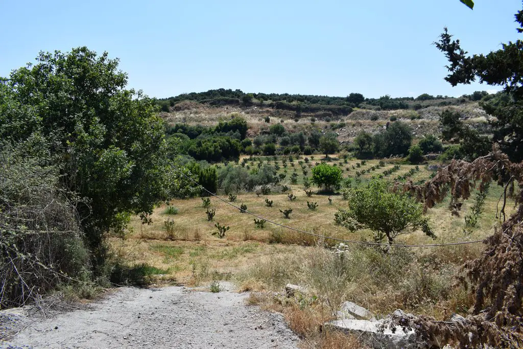 Land In Lappa, Greece