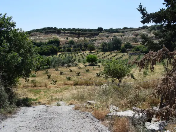 Land In Lappa, Greece