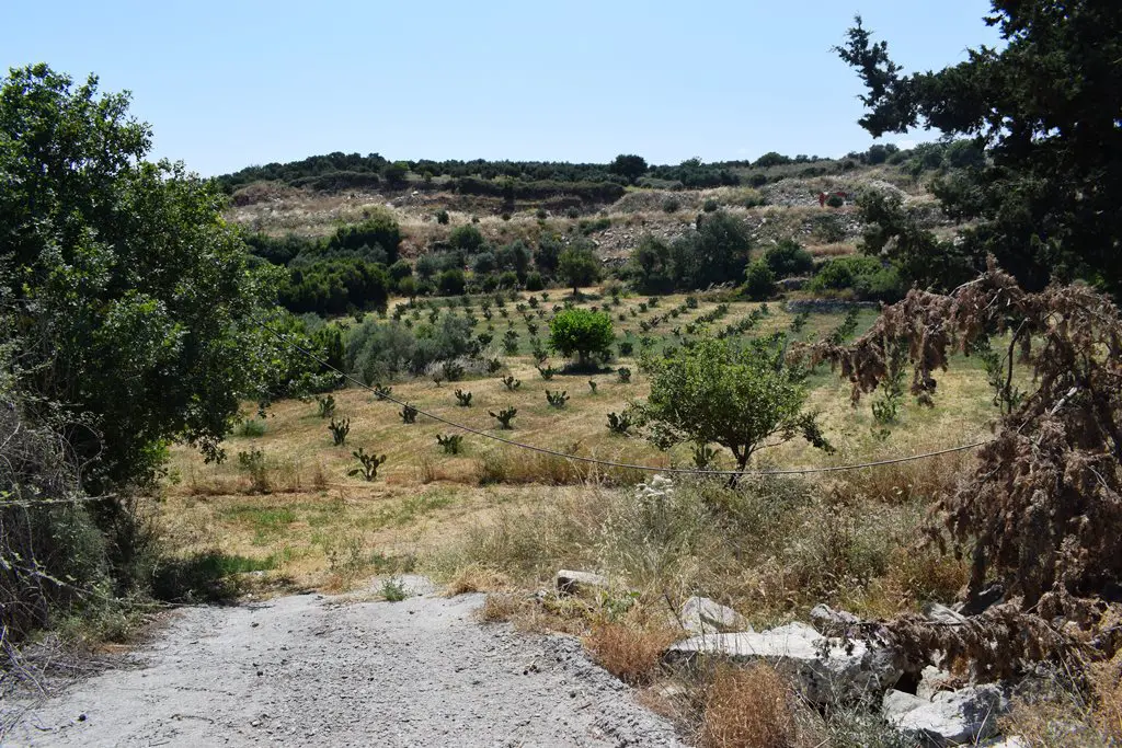 Land In Lappa, Greece