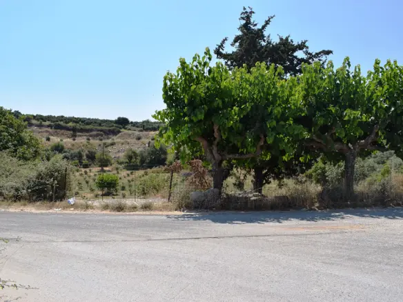 Land In Lappa, Greece