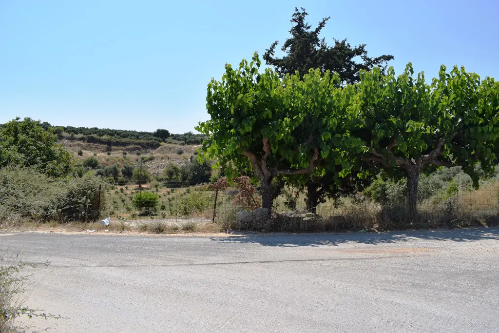 Land In Lappa, Greece