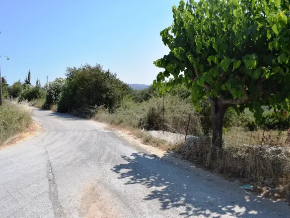 Land In Lappa, Greece