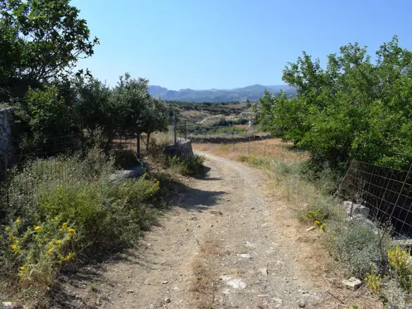 Land In Lappa, Greece