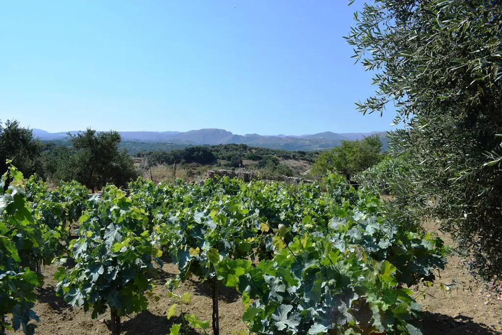 Land In Lappa, Greece