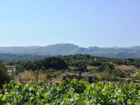 Land In Lappa, Greece