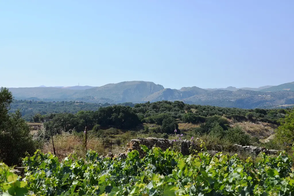 Land In Lappa, Greece