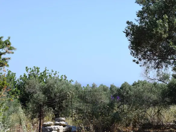 Land In Lappa, Greece