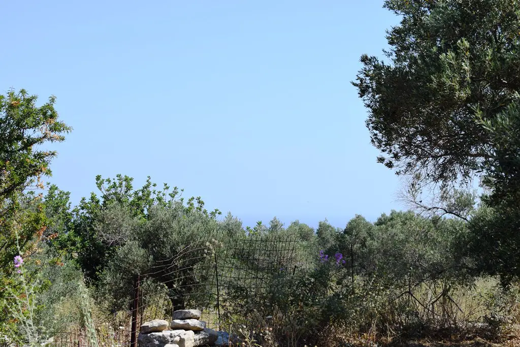 Land In Lappa, Greece