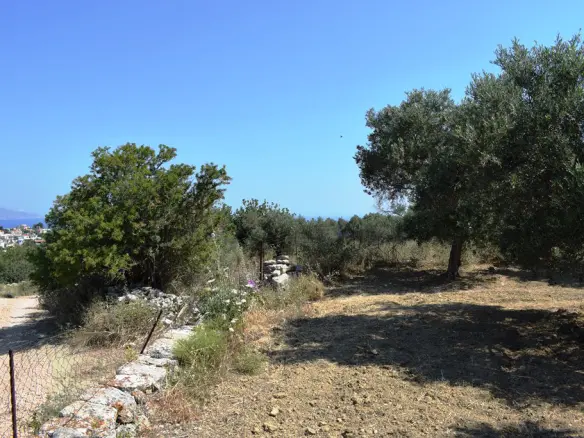 Land In Lappa, Greece