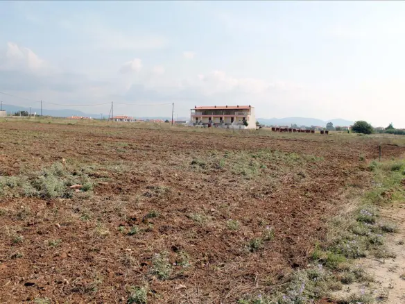 Land In Poligiros, Greece