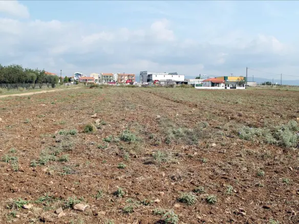 Land Of 1379 M² In Sithonia, Chalkidiki