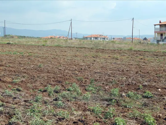 Land In Poligiros, Greece