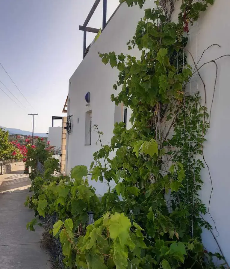 2-bedroom Detached House In Arkadi, Greece (63 M²)