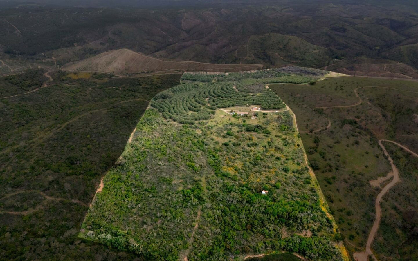 Pre 1951 Off-grid Estate With 15 Hectares In The Algarve Countryside