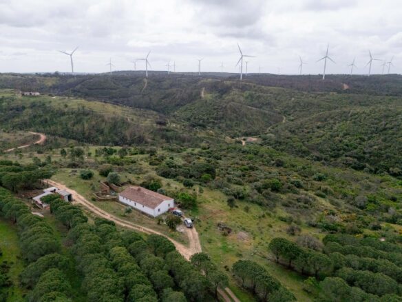 Pre 1951 Off-grid Estate With 15 Hectares In The Algarve Countryside