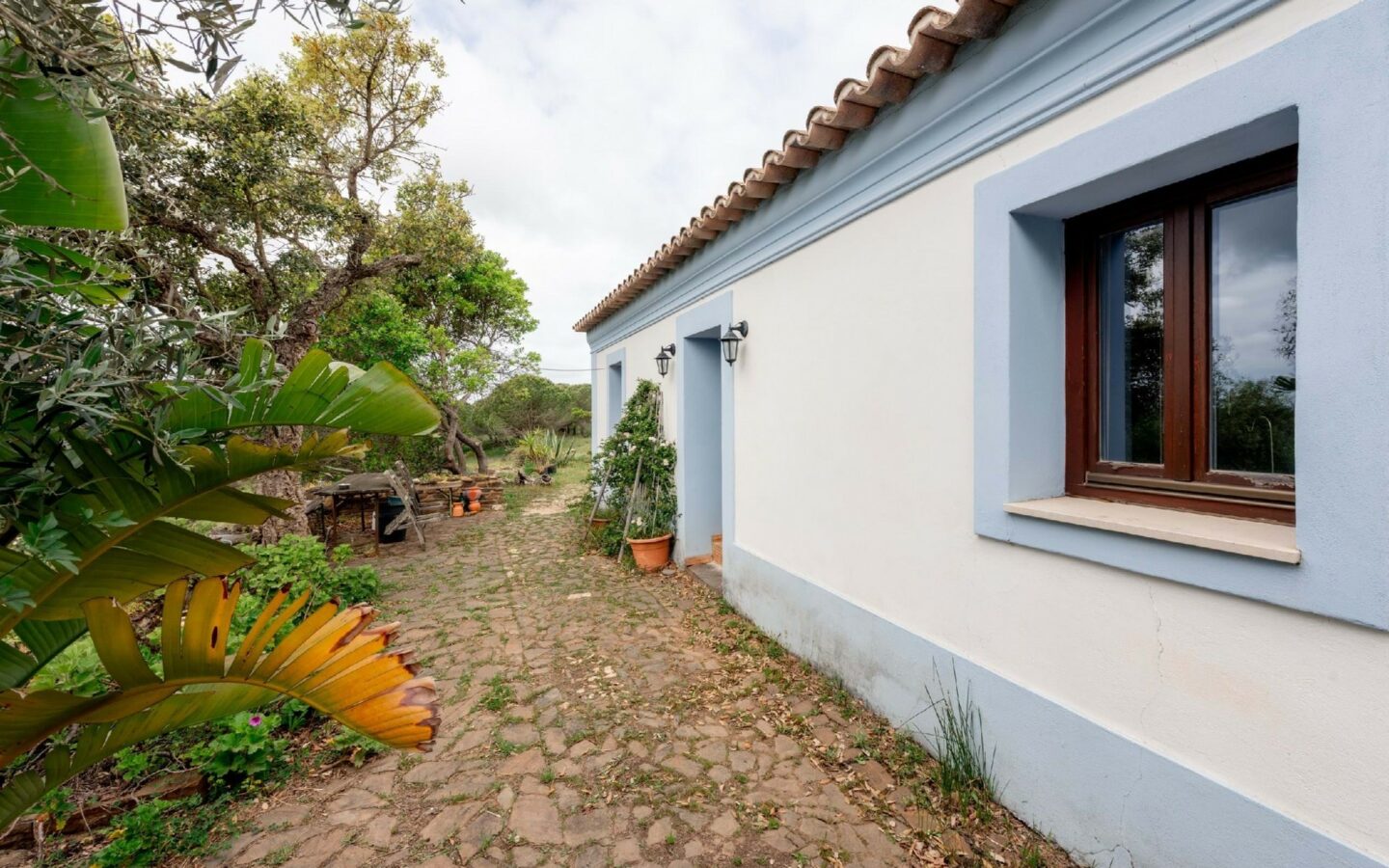Pre 1951 Off-grid Estate With 15 Hectares In The Algarve Countryside