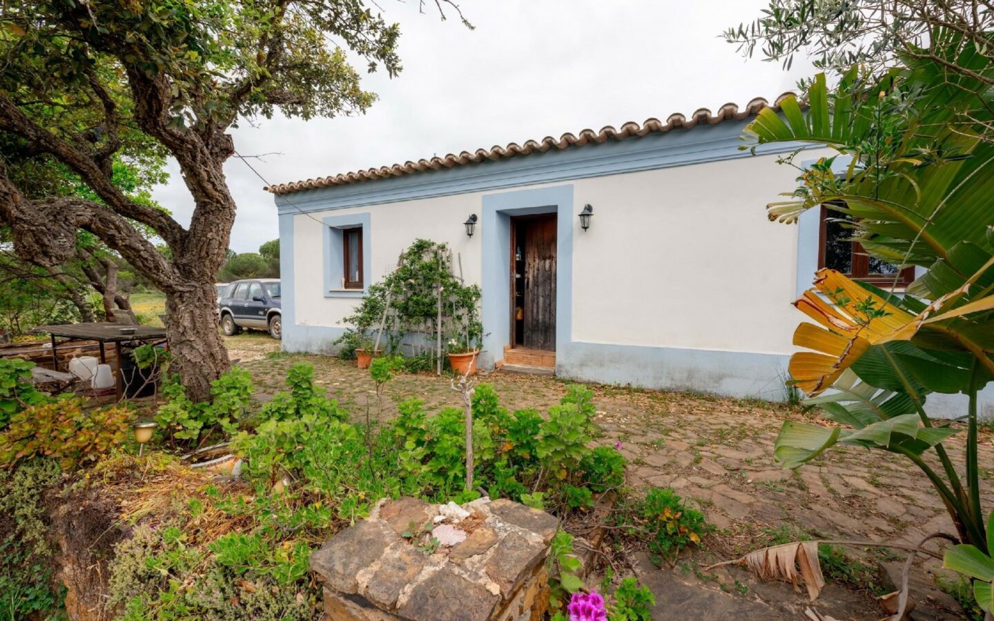Pre 1951 Off-grid Estate With 15 Hectares In The Algarve Countryside