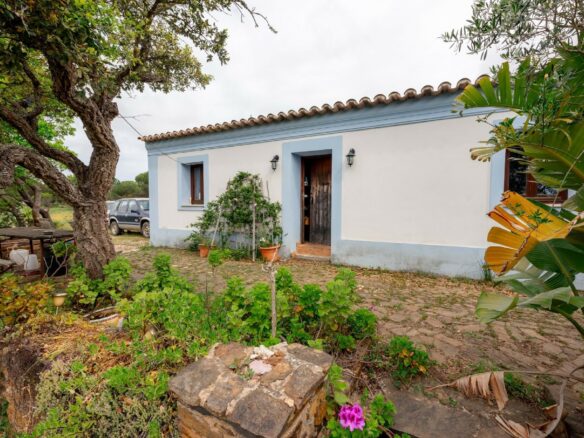Pre 1951 Off-grid Estate With 15 Hectares In The Algarve Countryside