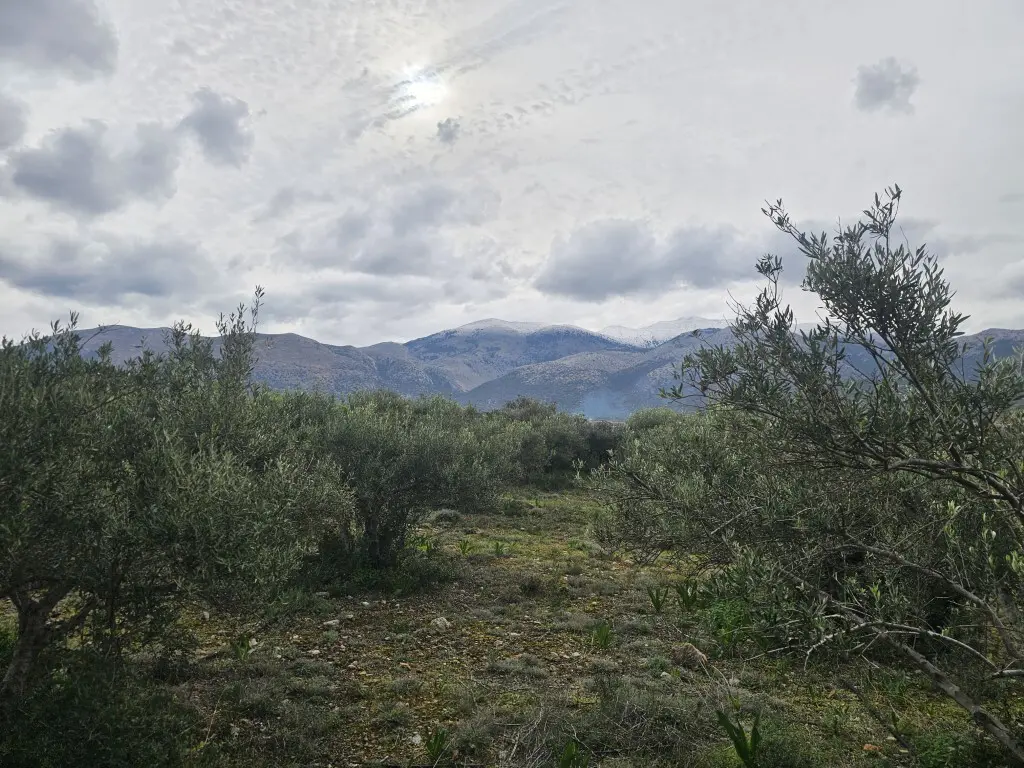 Land Of 8500 M² In Crete
