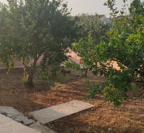 1-bedroom Detached House In Lavrio, Greece (87 M²)
