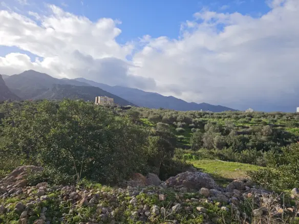Land In Vrachasi, Greece