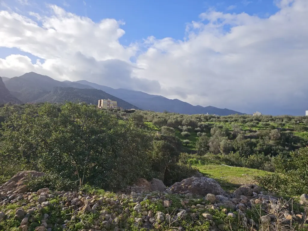 Land In Vrachasi, Greece