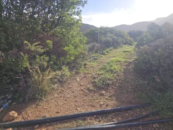 Land In Vrachasi, Greece