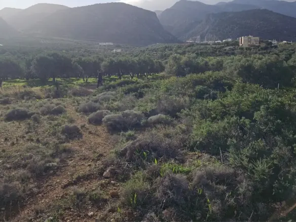 Land In Vrachasi, Greece