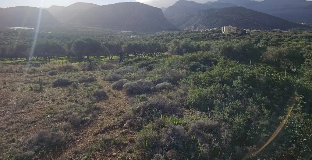 Land In Vrachasi, Greece