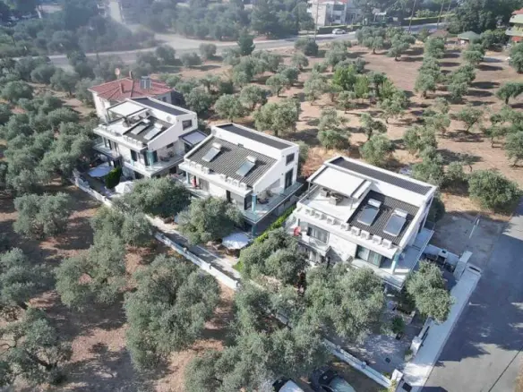Complex In Thasos, Greece (475 M²)