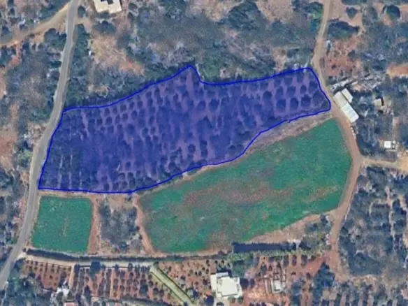 Land In Vrachasi, Greece