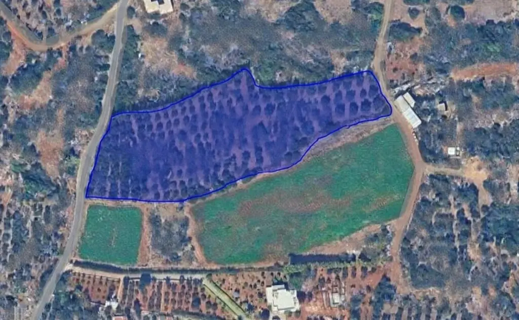 Land Of 8500 M² In Crete