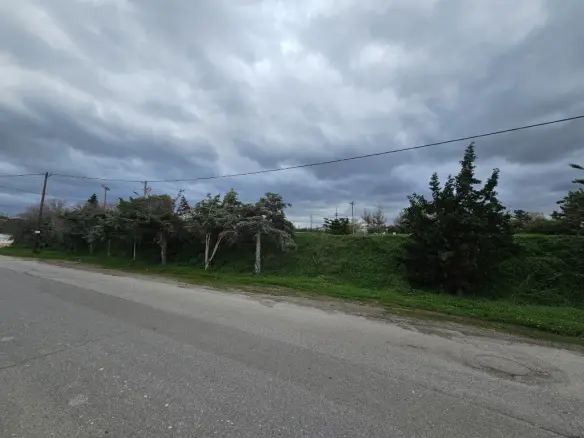 Land In Arkadi, Greece