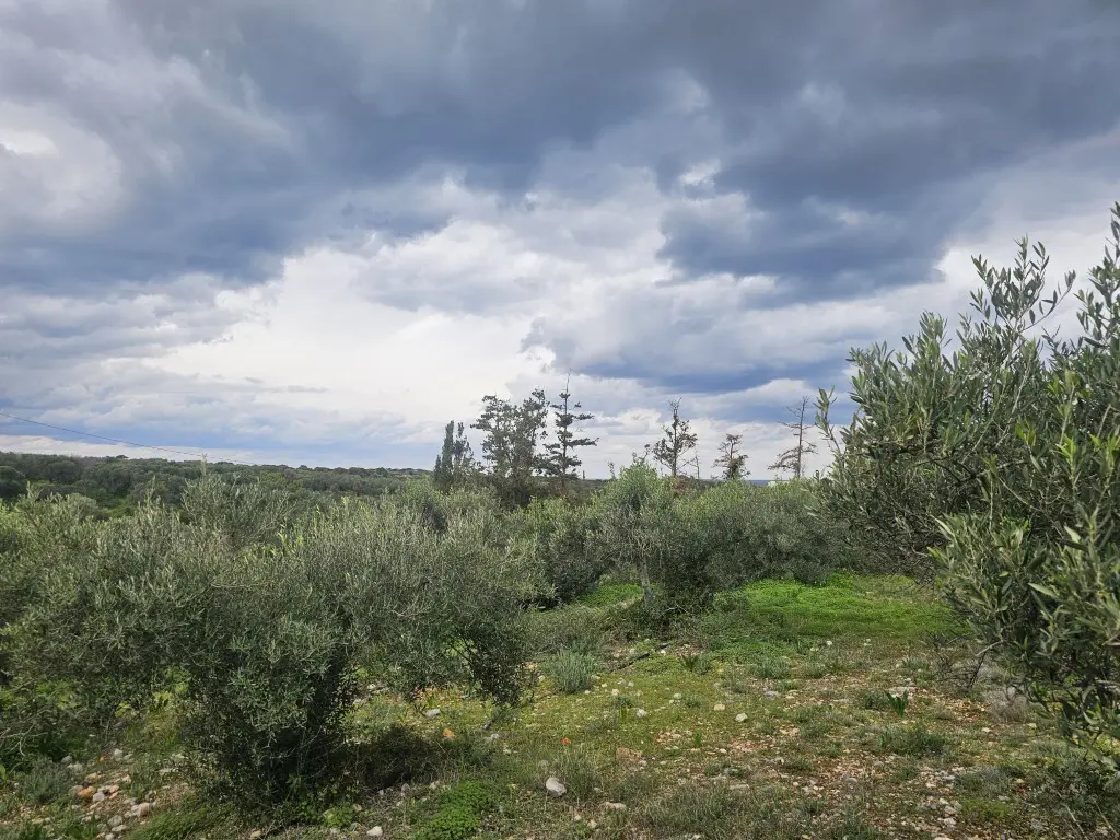 Land Of 8500 M² In Crete