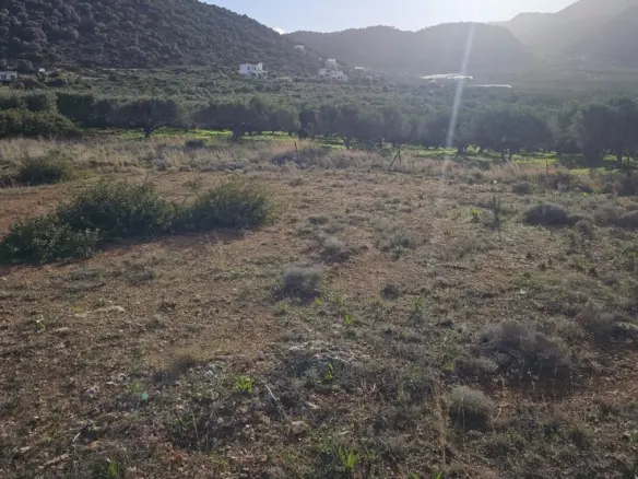 Land In Vrachasi, Greece