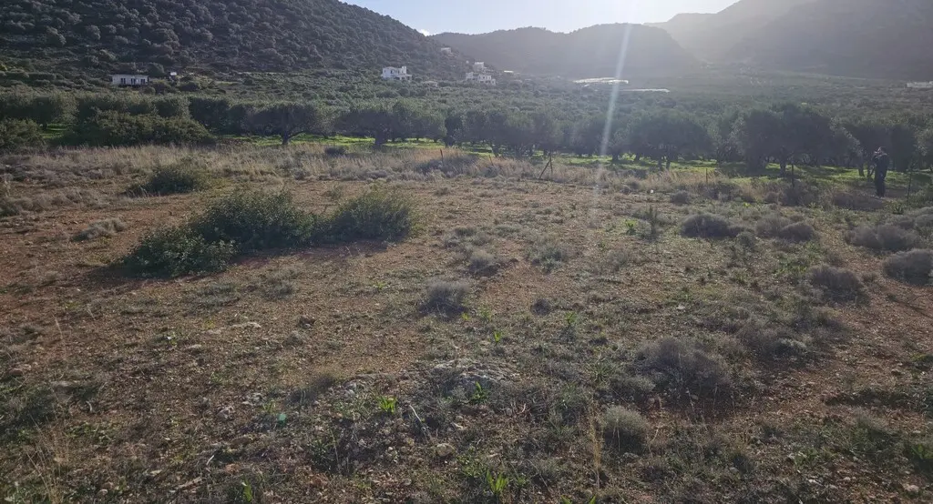 Land In Vrachasi, Greece