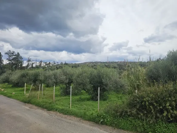 Land Of 8500 M² In Crete